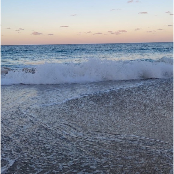 Meet your Posher, Lola - Picture 1 of 1